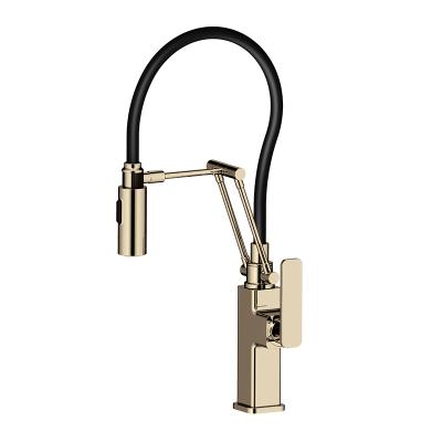 中国 Modern Flexible Gold Cupc UPC 61-9 NSF Pull Out 5 Years Warranty Kitchen Sink Faucets For Kitchen Sink 販売のため