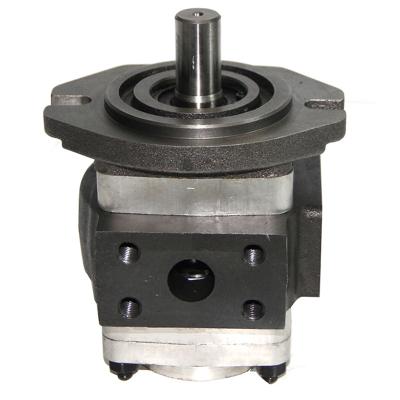 China Other Internal Hydraulic Gear Pump NBL2A1-251L-H01 Stainless Steel Gear Pump for sale