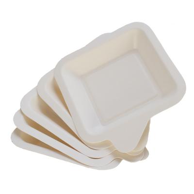 China Disposable Biodegradable Sugar Cane Pulp Pastry Shop Tray Cake Tray Small Square Food Tableware Serving Paper Tableware for sale