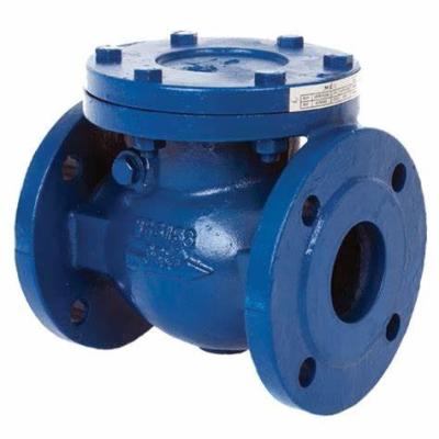 China General Factory Price Dn200 Iron Standard Manual Medium Water Temperature Pn16 Check Valve for sale