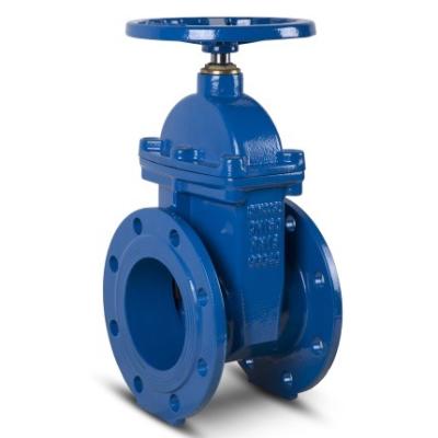 China General ANS Din Pn 16 / pn10 Non-Rising Resilient Seated Flanged Stem Gate Valve for sale