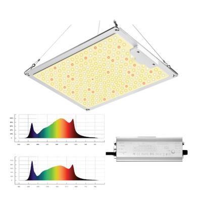 China GEBOSUN Slim Full Spectrum Plant Led Grow Lights For Plants Indoor Growing Spectrum for sale