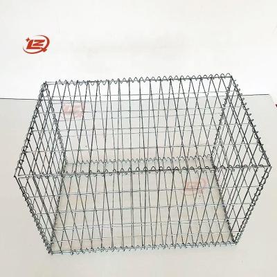 China China Manufacturer 50x100mm Welded Hot Dipped Galvanized Hole Rock Cage Welded Mesh Wire Gabions for sale