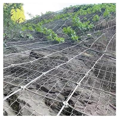 China Protective Mesh Hot Dipped Galvanized SNS Flexible High Tensile Strength Rockfall Protective Netting for sale