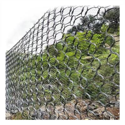 China Mesh Shock Resistance Rockfall Passive Protective Slope Protective Net for sale