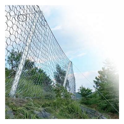 China Woven Wire Mesh Passive Rockfilled Protection Slope Netting for sale