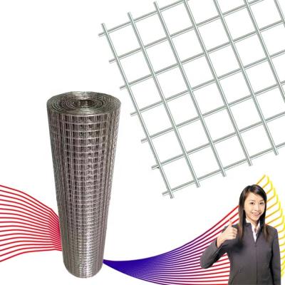 China Mesh China factory direct 3mm protective stainless steel high quality welded wire mesh for sale