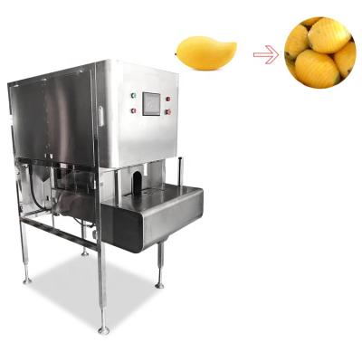 China High Efficiency Easy Operate Electric Carrot Peeling Machine Fruit Peeler Machine Cassava Washing Cleaning And Peeling Machine for sale