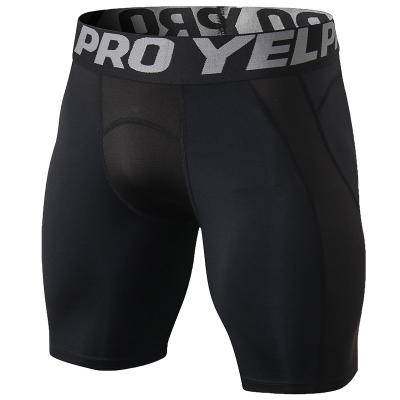 China Factory Breathable Xiamen Cheap Boxer Shorts Sporty Men Running Short Pants Gym Fitness Abbreviation Men for sale