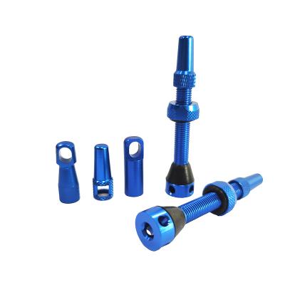 China Wholesale Bike American 44mm Tubeless Valve Stems 40mm Schrader Mountain Bike /Road Bike /Racing Tubeless Valve Stems For MTB Bicycle for sale