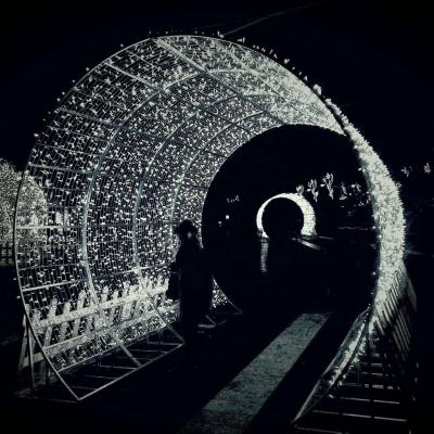 China Customized light color street arch tunnel pattern outdoor waterproof wholesale static or flicker light for sale