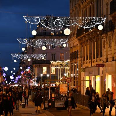 China Static Or Flicker Low Power Consumption Christmas Pattern 2d Led Light For Street Decoration for sale