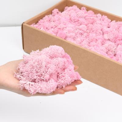 China Wholesale Environmental Protection Green Moss Indoor Decorative Dried Flowers Preserved Plants Preserved Moss Boxed for sale