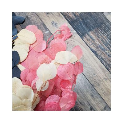 China Hot-wholesale Events Decoration Preserved Flower Preserved Yunnan Apple Leaves For Valentines Gift for sale