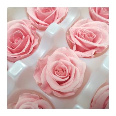 China Popular High Quality Preserved Flower Head 21 A Grade Preserved Rose Flowers For Mother's Day for sale