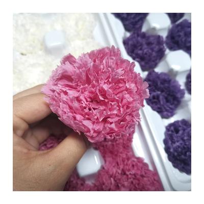 China Wholesale High Quality Preserved Flower Head 8 Grade A Grade Preserved Carnation Flowers For Mothers Day for sale