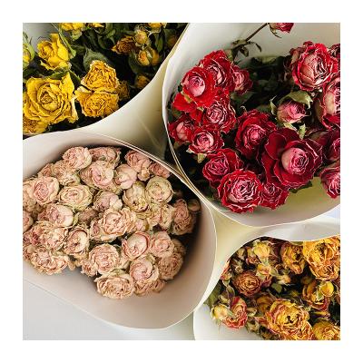 China Wholesale Hot Selling Lasting Natural INS Touch Natural Roses Dry Flower Dried Rose Bouquets For Decoration for sale