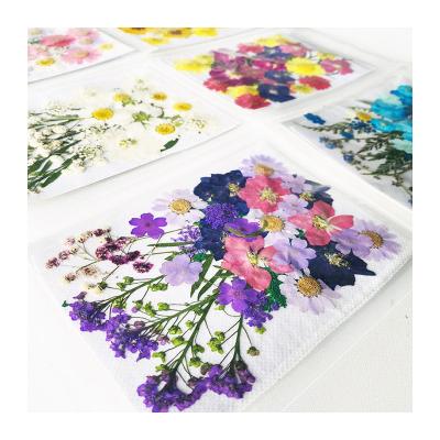 China Holiday decoration & Promotional Gift Sets Dried Flower Embossing Dried Flower Nail PatchIns Wholesale Popular Popular Press Flowers for sale