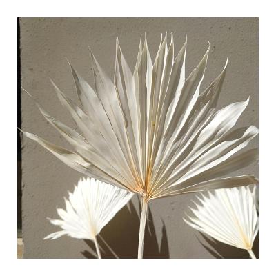 China Natural floristic material decorative flowers bleached dry palm leaves for wedding decoration for sale