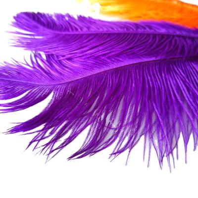 China natural touch & Cool Popular Amazon Festival Decor South Africa Feather White Ostrich Feathers For Wedding for sale