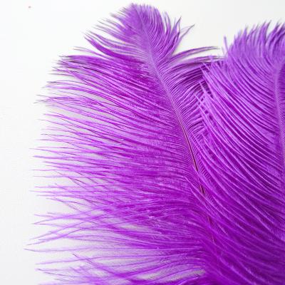 China natural touch & INS Cool Popular Decorative Feather Natural Ostrich Feathers Colorful Feathers 13-16 Inch (35-40 cm) Pitch for sale