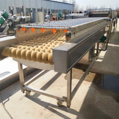 China food & Beverage Factory Fruit and Vegetable Washing Wax Drying and Grading and Sorting Line Machine for sale