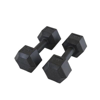 China Dingzhou Supplier Sale Logo Dumbbell Dumbbell 10kg Plastic Dip Set Custom Aerobic Ladies Professional Life Fitness Yoga Dumbbells Small Dumbbell Set for sale