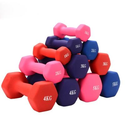 China Custom High Quality Silicone Dumbbell Accessories Fitness Gym Dumbbell Fashion Red 3kg Plastic Dip Weights Cast Iron for sale