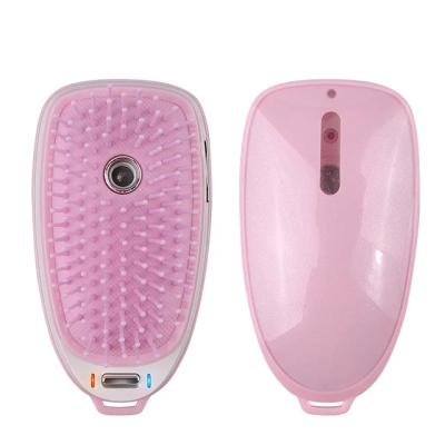 China Waterproof Portable Scalp Battery Operated Ionic Hair Styling Brush For Hair Care Hair Growth for sale