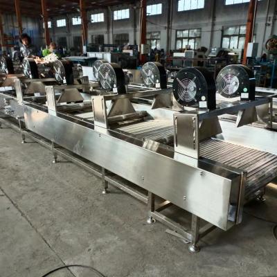 China Side Stability Vegetable and Fruit Blower Surface Water Drying Air Drying Conveyor for sale