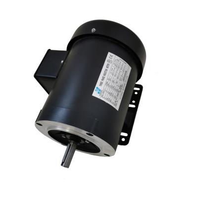 China Totally Enclosed Premium Efficiency NEMA 56C Three Phase Motor for sale