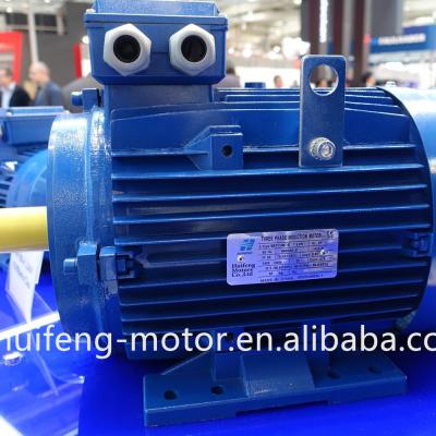 China Fully Enclosed MPE Series High Efficient Aluminum Housing Three Phase Induction Motors for sale