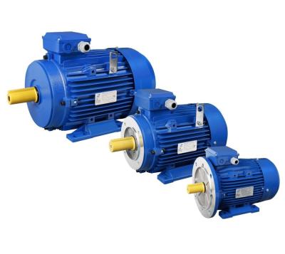 China Totally Enclosed Efficiency 230/400V AC IE3 Three Phase Electric Motor for sale