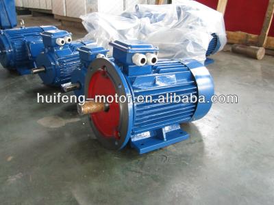 China Totally enclosed 900RPM three-phase electric motor with EFF1 for sale