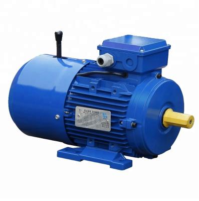 China Totally enclosed three-phase induction brake manual motor for sale