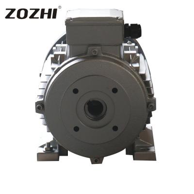 China Industriële 3 PK van de Elektrische Motor de Holle Schacht Oplossings voor de Druk van Nettoyeur Haut Te koop