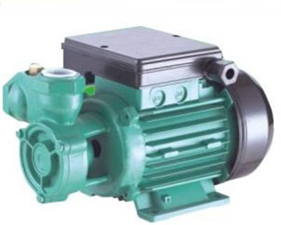 China Db Series Electric Peripheral Water Pump 1hp 100% Output Products for sale