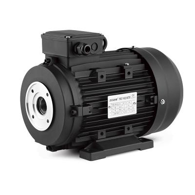 China Máquina de lavar automóveis 5.5kw 7.5kw 3 Fases de indução de eixo oculto de três fases Motor elétrico AC 380v para interpump à venda