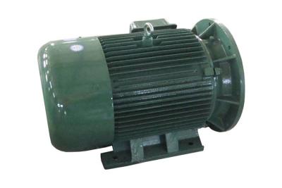 China 8 Pole Three Phase Asynchronous Motor With Cast Iron Motor Body For Food Machine for sale