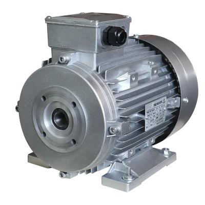 China Ie1 Ie2 Ie3 2.2kw 4kw 5.5kw 7.5kw Three Phase Hollow Shaft Ac Electric Washer Washing Machine Motor For Pressure Pump for sale