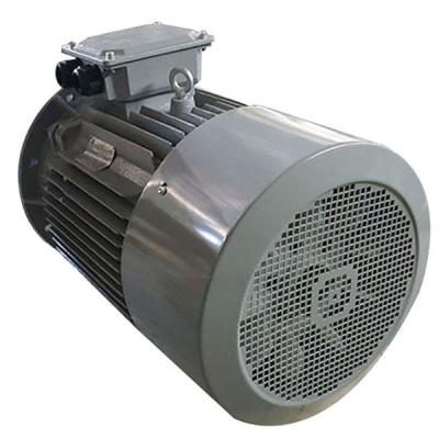 China Schwanzloser Wechselstromdreiphaseninduktions-Motor 15KW 20HP 380V 400V 3000RPM Y2-160L-4 zu verkaufen