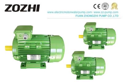 China Aluminum Housing 3 Phase Induction Motor MS Series 0.75KW/1HP For Food Machinery for sale