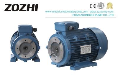 China 100% Copper Hollow Shaft Motor , Three Phase Induction Motor 12x4 IP54 IP55 for sale