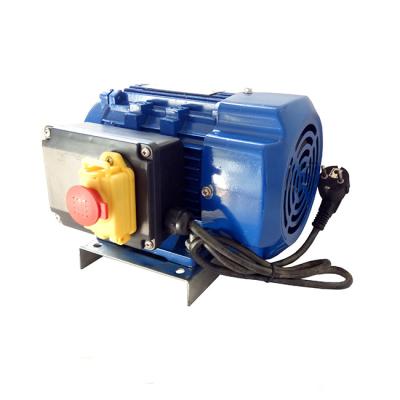 China de Enige Fasemotor van 220v 50hz 0.16HP 0.12KW voor Lijstzaag Te koop