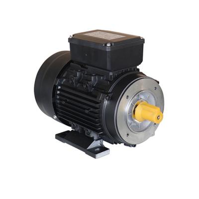 Cina Aluminum Three Phase 380V 1.5Kw 2Hp Electric AC Motor IP54 in vendita