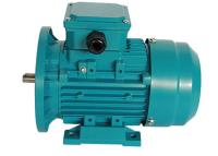 中国 3つの段階4KW 5.5HP ICO141の冷却のリスおりモーター 販売のため