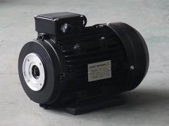 Fully Enclosed Hollow Shaft Motor IEC Standard 100L3-4 4KW 5.5HP Fast Heat Dissipation