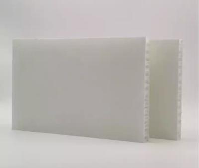 China Customized Light Weight Polypropylene Fiberglass Reinforced Honeycomb Panel for Plastic Shuttering for sale