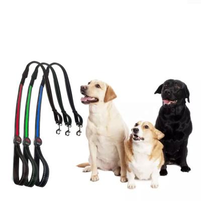 China Wholesale Reflective Reflective Nylon Dog Leash Night Safety LED Flashing Lead for sale