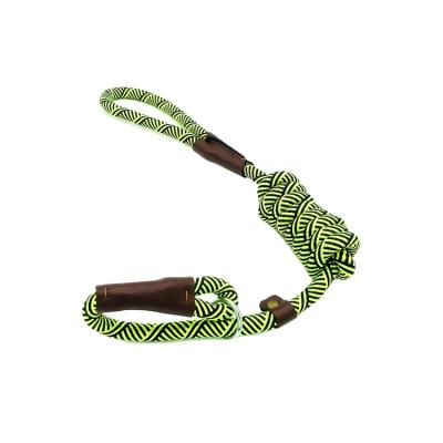 China 2021 Personalized Amazon New Nylon Dog Lead Durable Slip Dog Leash With Choke Collar for sale